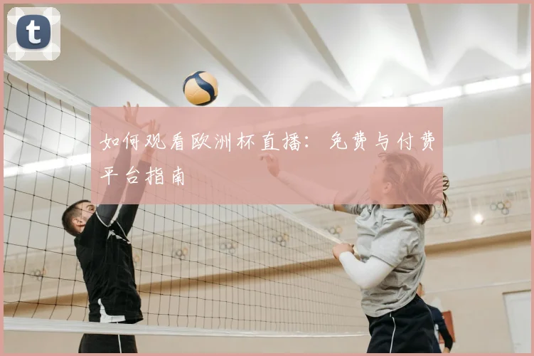 如何观看欧洲杯直播：免费与付费平台指南