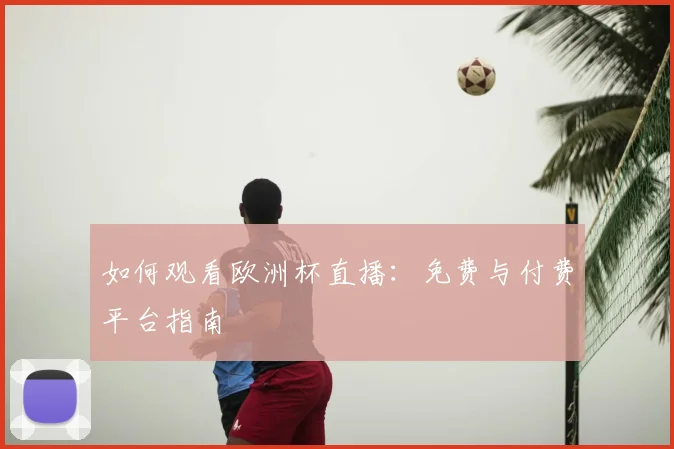 如何观看欧洲杯直播:免费与付费平台指南
