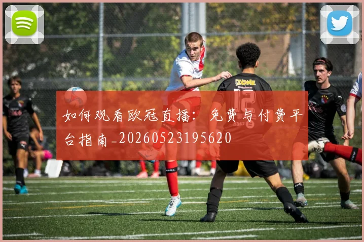 如何观看欧冠直播：免费与付费平台指南_20260523195620